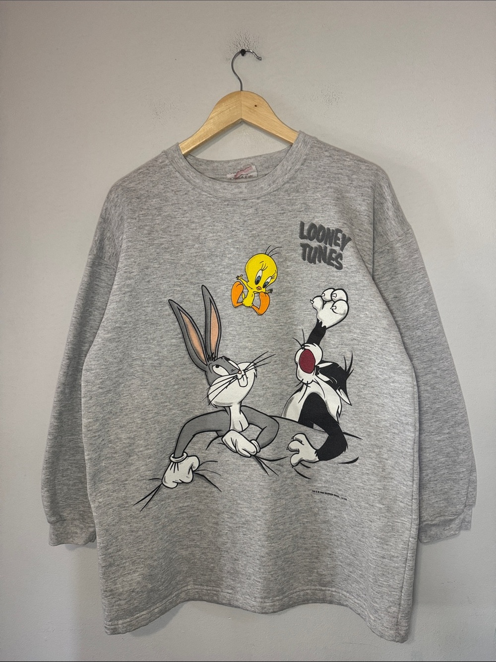 Vintage Looney Tunes Sweater / 1996 / Novel Teez